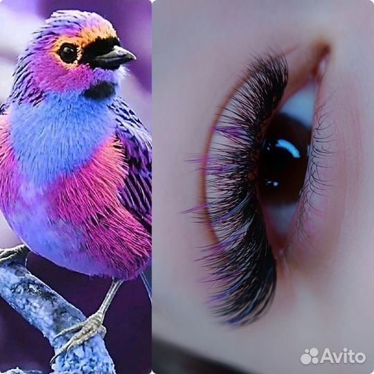 Модели на наращивание ресниц