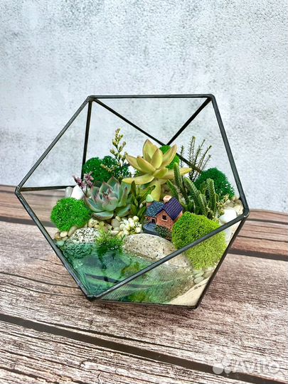 Флорариум с суккулентами