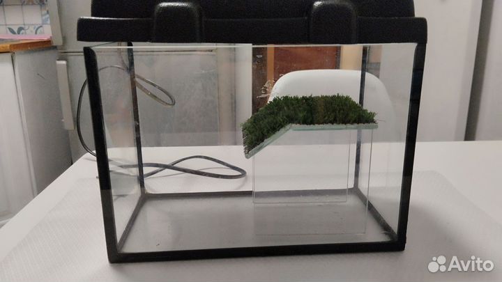 Аквариум для черепашки