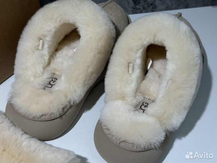 Тапочки Ugg Slippers Disquette Sand