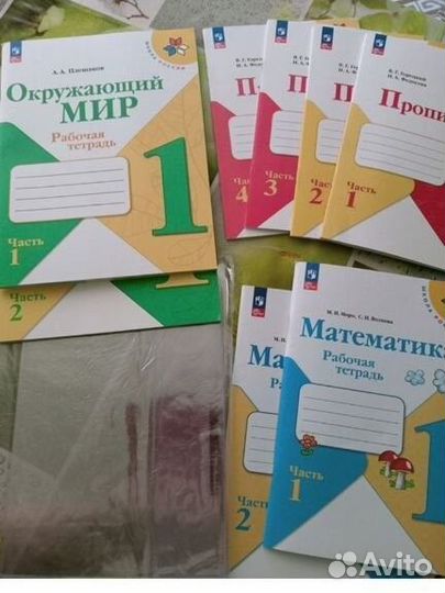 Рабочие тетради 1 класс школа россии