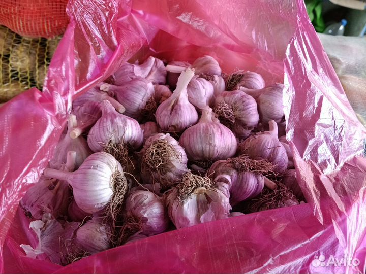 Картофель, лук, морковь