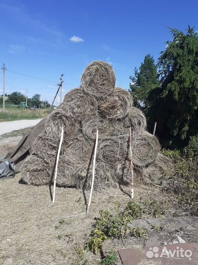 Сено в мини рулонах