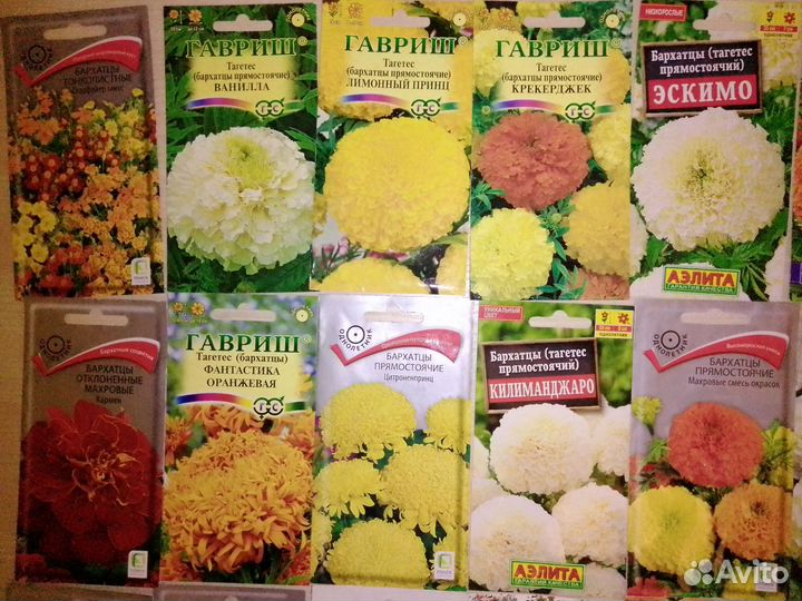 Цветы бархатцы семена