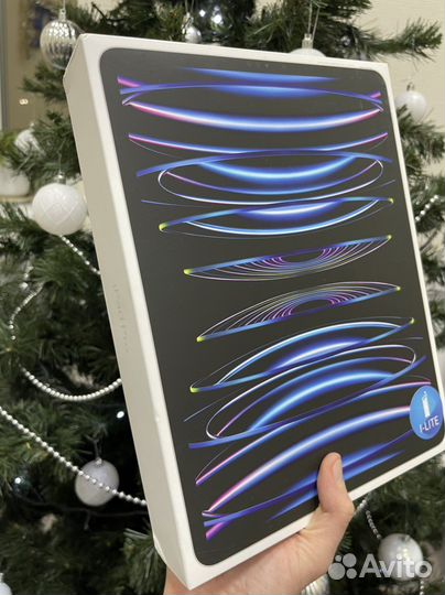 iPad Pro(2022) 12.9 Wi-Fi+Cellular 1TB Silver