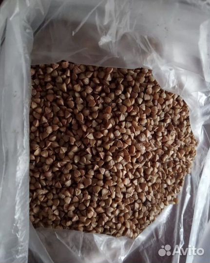 Зерноотходы (гречка)