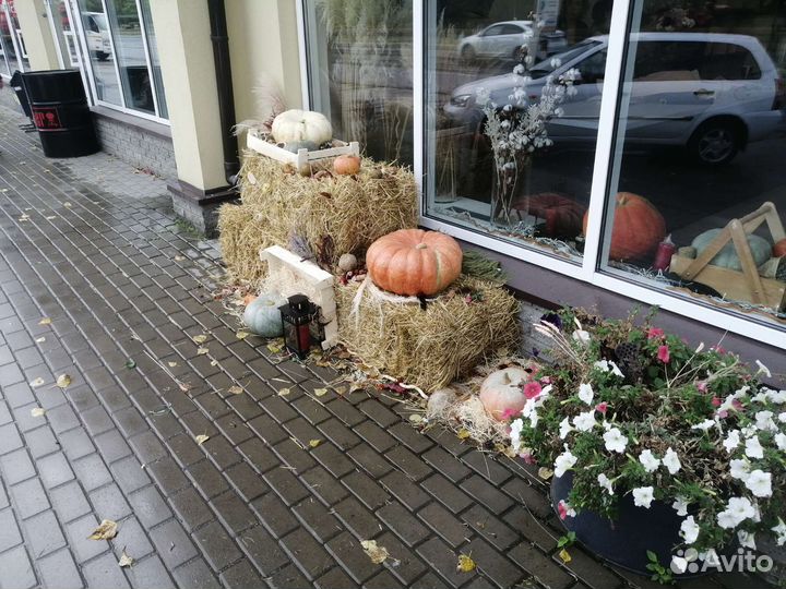 Солома в тюках
