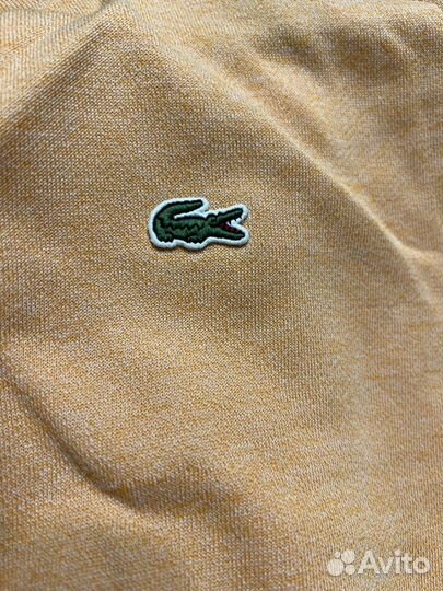 Свитшот Lacoste