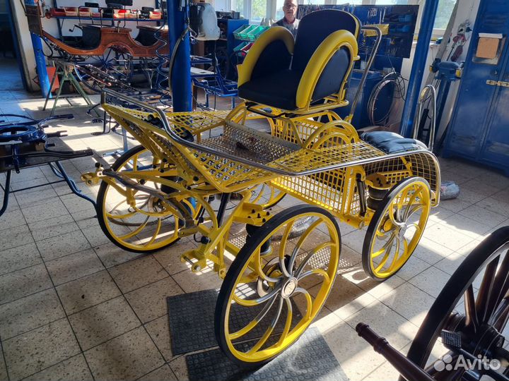 Экипажи для лошади маратон