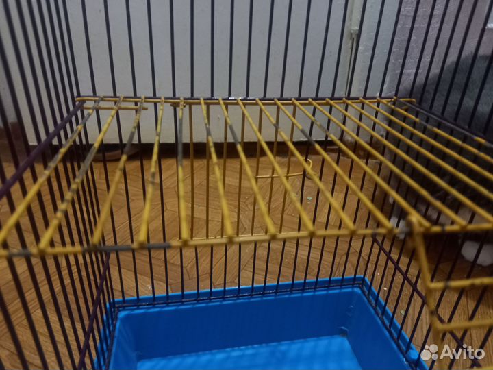 Клетка для грызунов бу