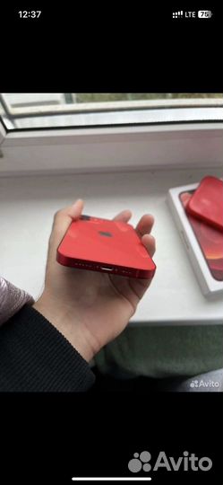 iPhone 12 256