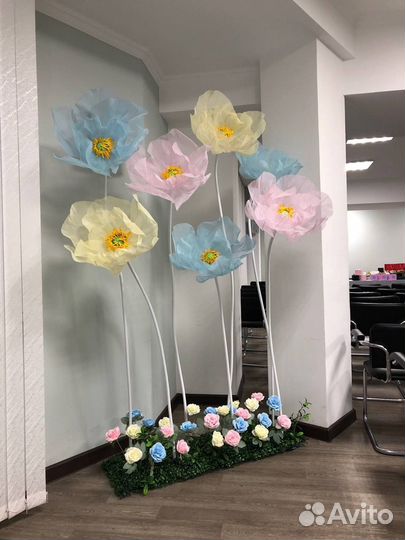 Фотозона в аренду