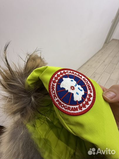 Шапка зимняя Canada Goose