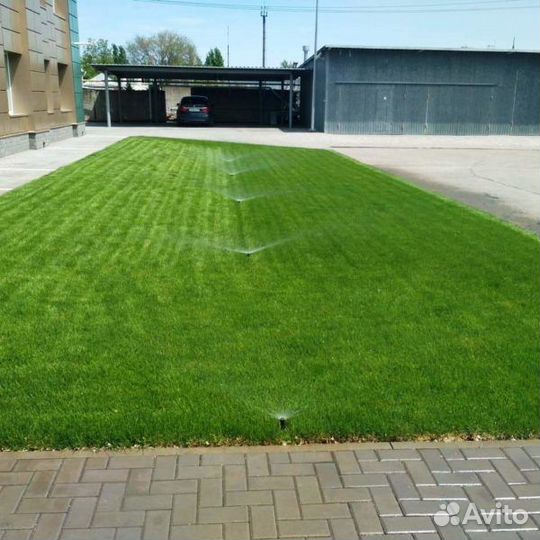 Рулонный газон