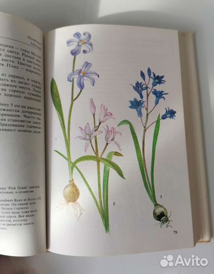 Книга с ботаническими рисунками Альпинарий