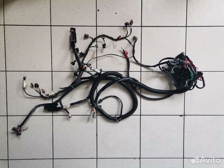 Коса проводов BRP RXP