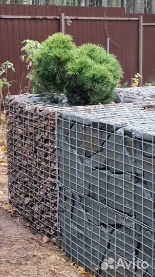 Габионы / габионы сварные / колонна яч.100х50мм