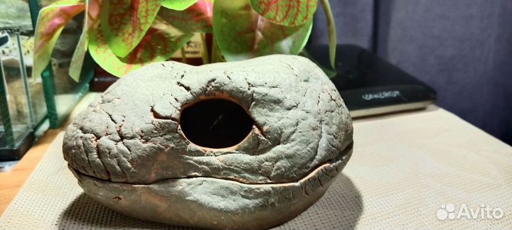 Террариумный комплект для эублефара