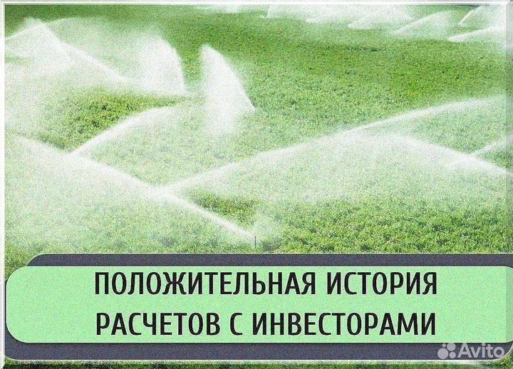 Ищу инвестора в с/х. Доход до 50%