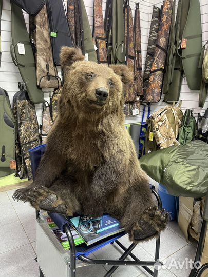 Чучело медведя(имитация)