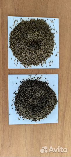 Семена люцерны