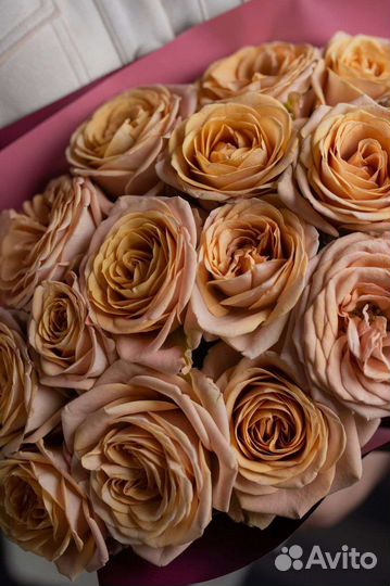 Монобукет с эквадорскими розами цвета капучино