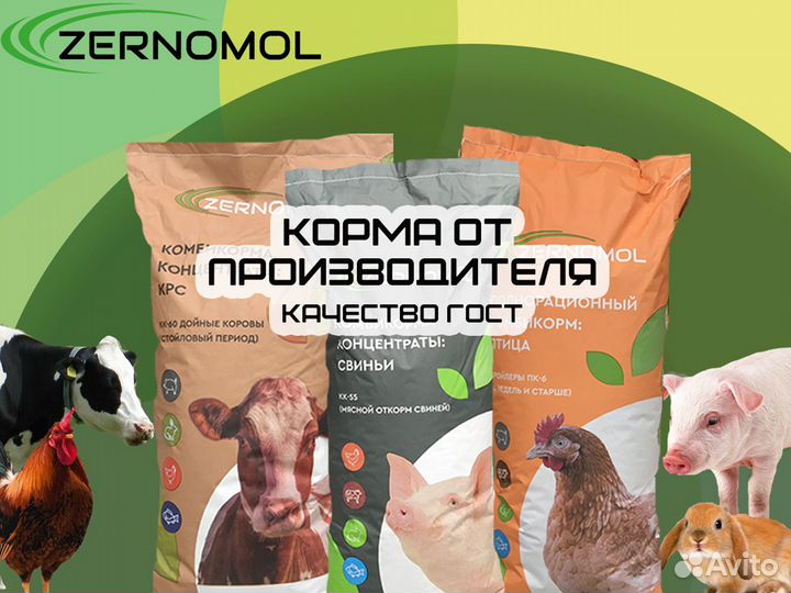 Продажа комбикорма оптом пшеница ячмень