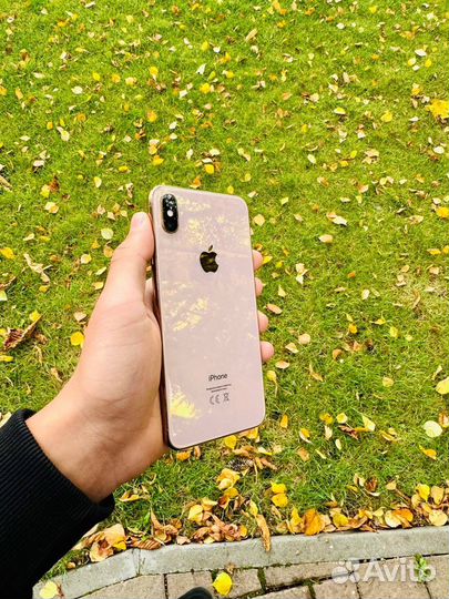 iPhone Xs Max, 512 ГБ