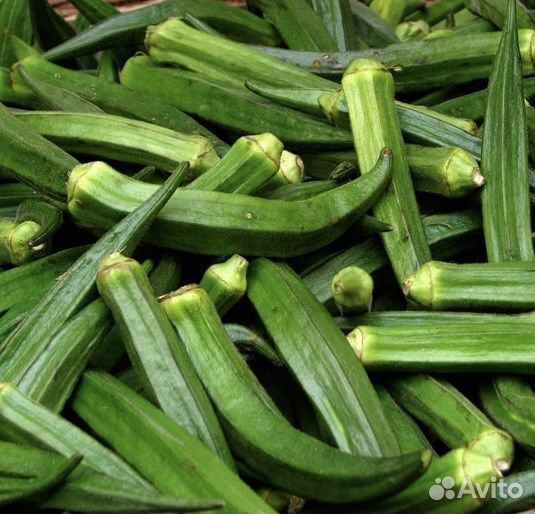 Бамия, редкие сорта, семена