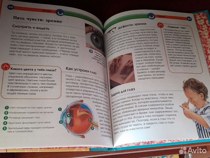 Тело человека книга