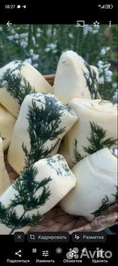 Сыры и молоко козье домашнее