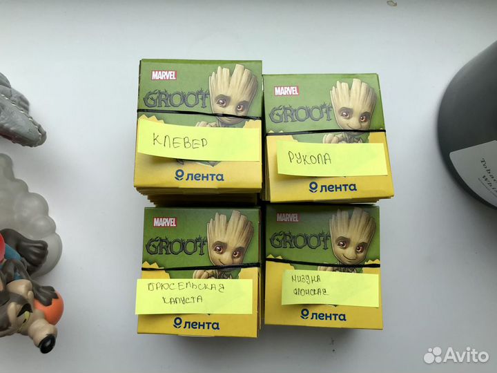 Семена для выращивания Лента groot