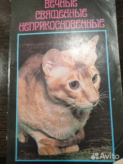 Книга о кошках