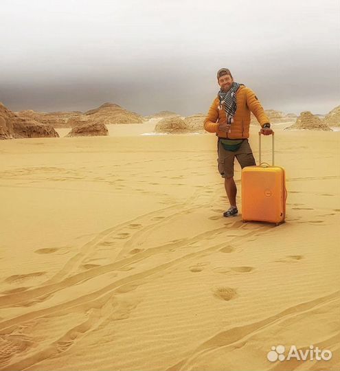 Чемоданы Samsonite в аренду