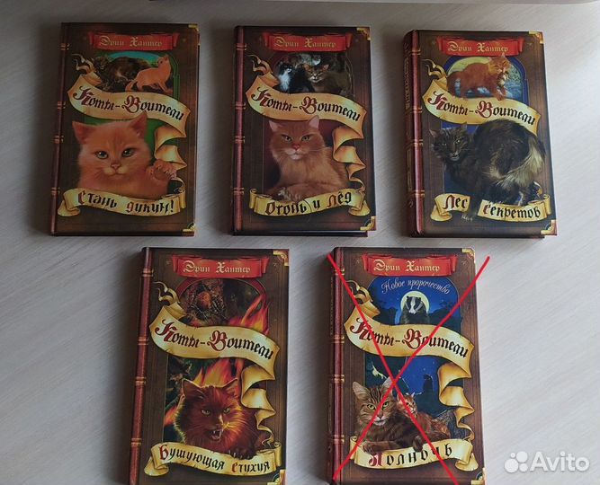 Книга коты воители