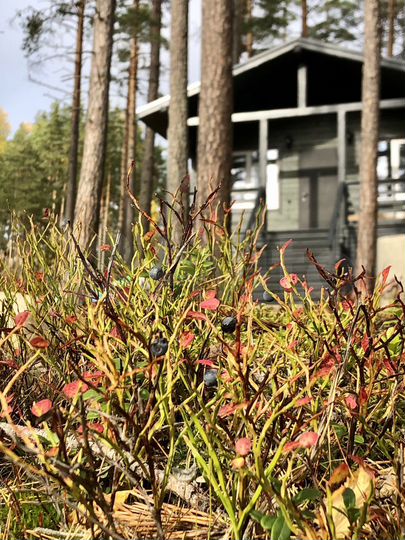 Дом 48 м² на участке 6 сот.