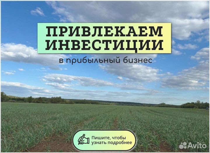 Инвестор в готовый бизнес