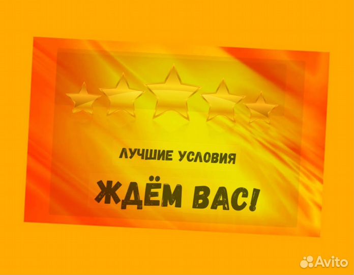 Маркировщик Еженедельный аванс М/Ж Спецодежда