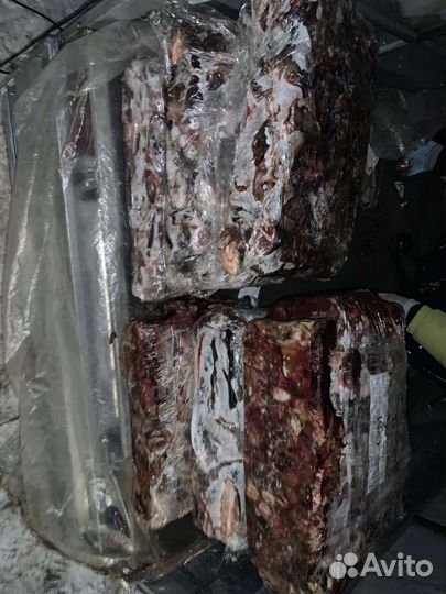 Рыбные отходы для животных