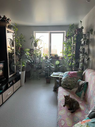 2-к. квартира, 49,7 м², 13/17 эт.