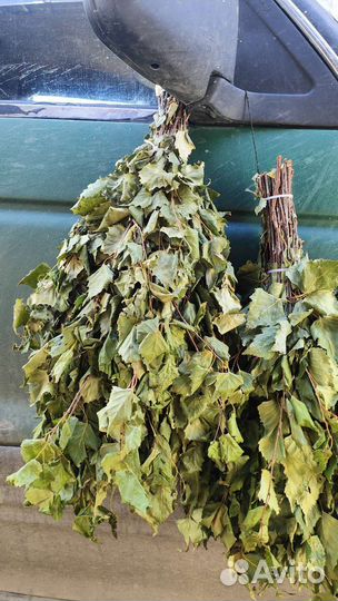 Веники для бани