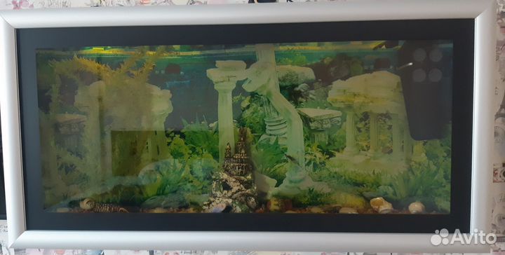 Продам аквариум