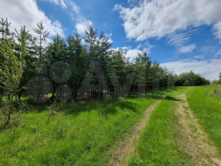 Участок 12 сот. (ИЖС)