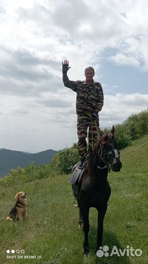 Конные прогулки