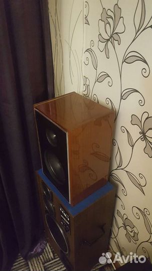 Колонки 10мас 1м ранняя версия на магнитах альнико