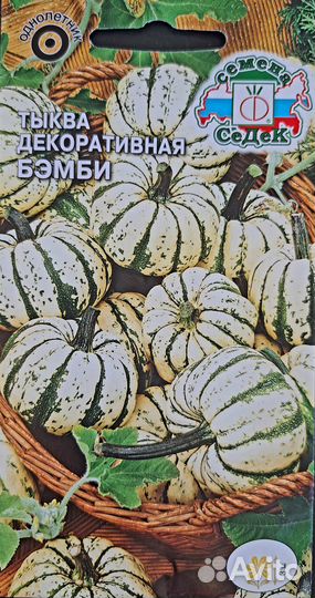 Семена декоративной тыквы