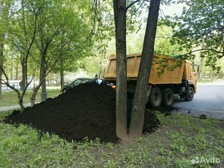 Чернозем