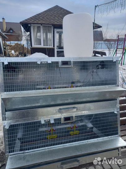 Брудеры и клетки