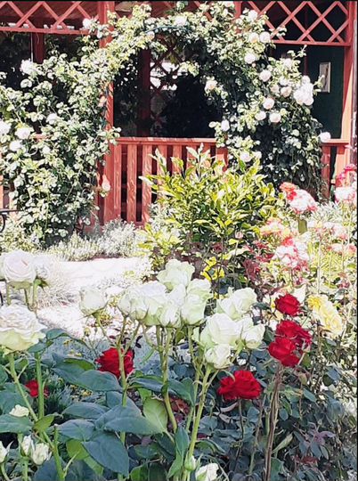 Дом 218 м² на участке 8 сот.