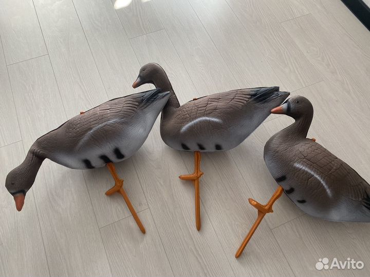 Чучела гусей (3 д )